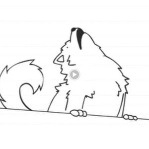 Meet your Posher, Simon